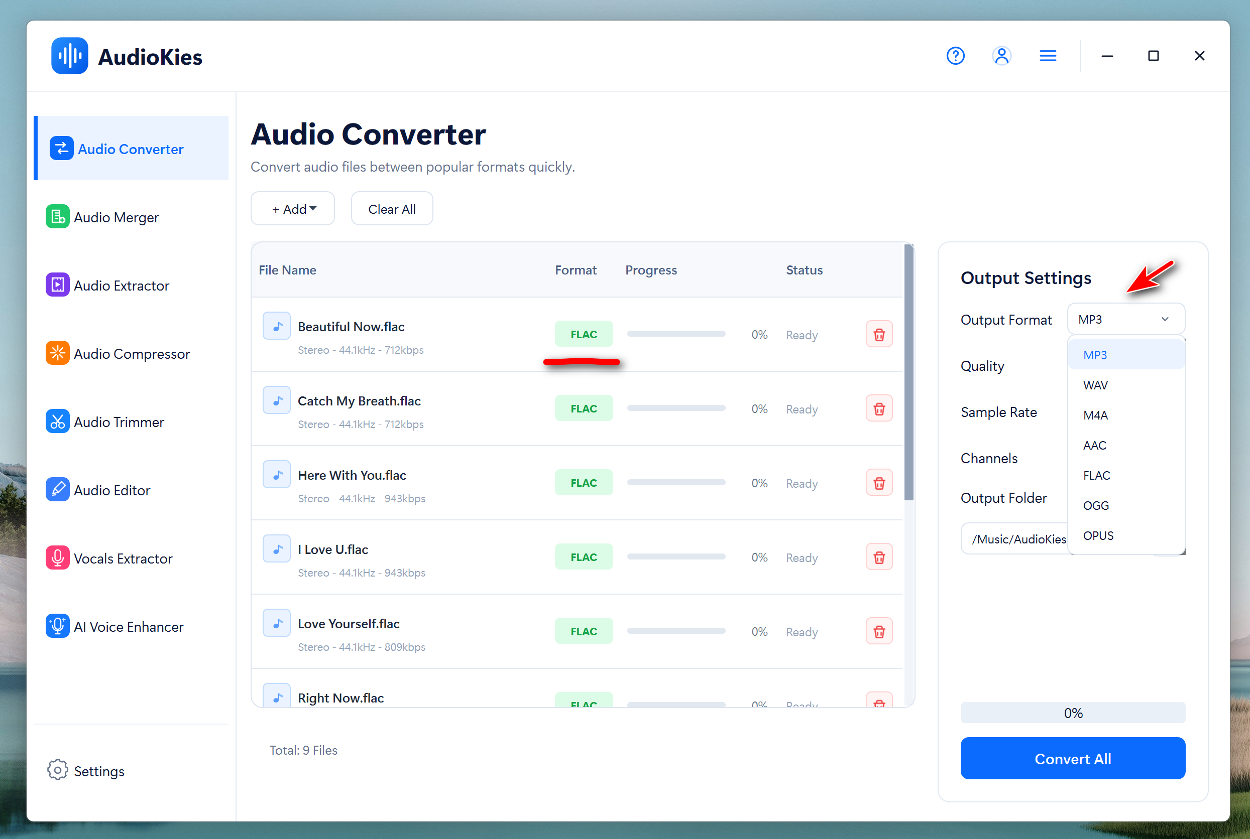 Choose MP3 output format