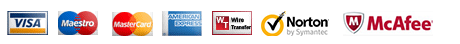 Secure payment methods including Visa, Mastercard, American Express, Norton, and McAfee